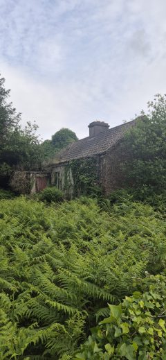 Garrahadoo, Killorglin, Co.Kerry